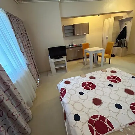 Joy Life Apartment Costinesti